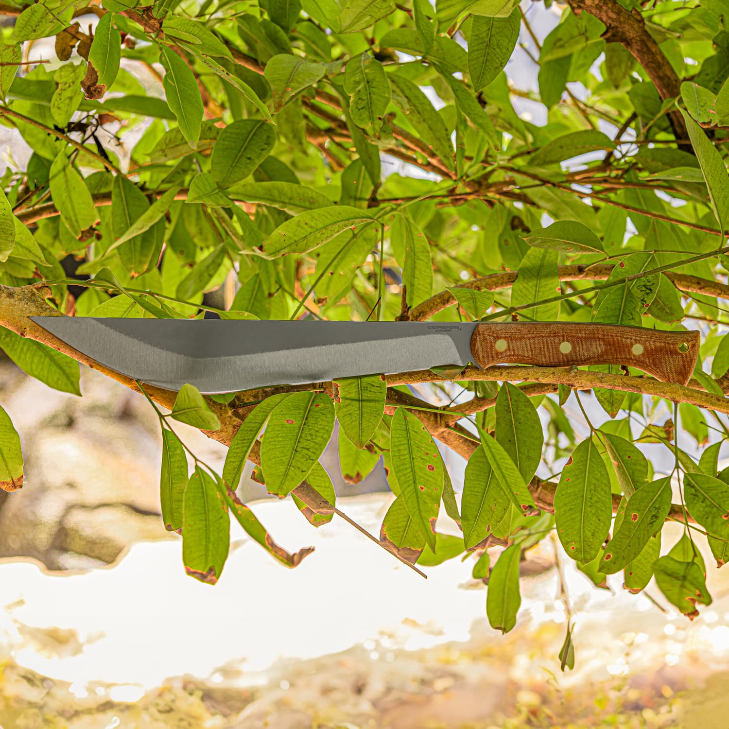 Hmong Machete
