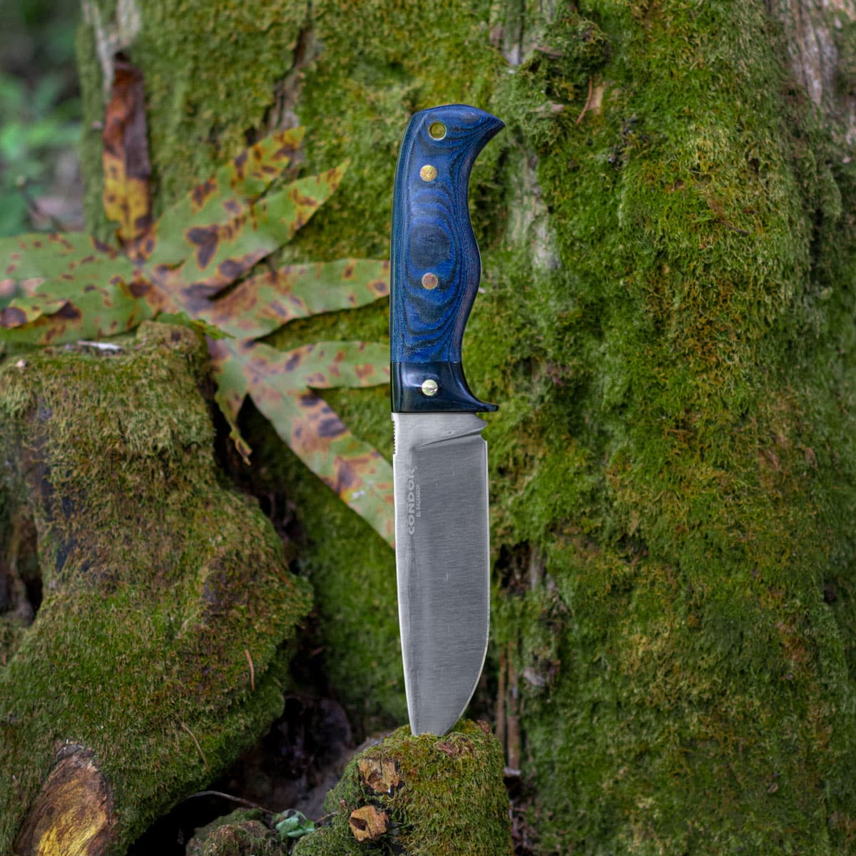 Blue Havoc, Festgestellte Klinge 