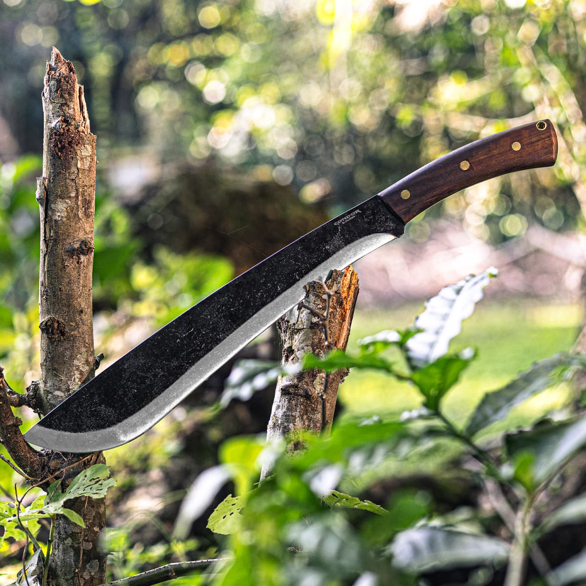 Jungolo Machete