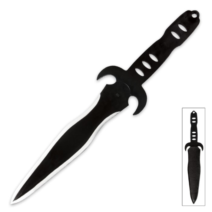 La Storia della Arcana Familia - Felicita Schwert