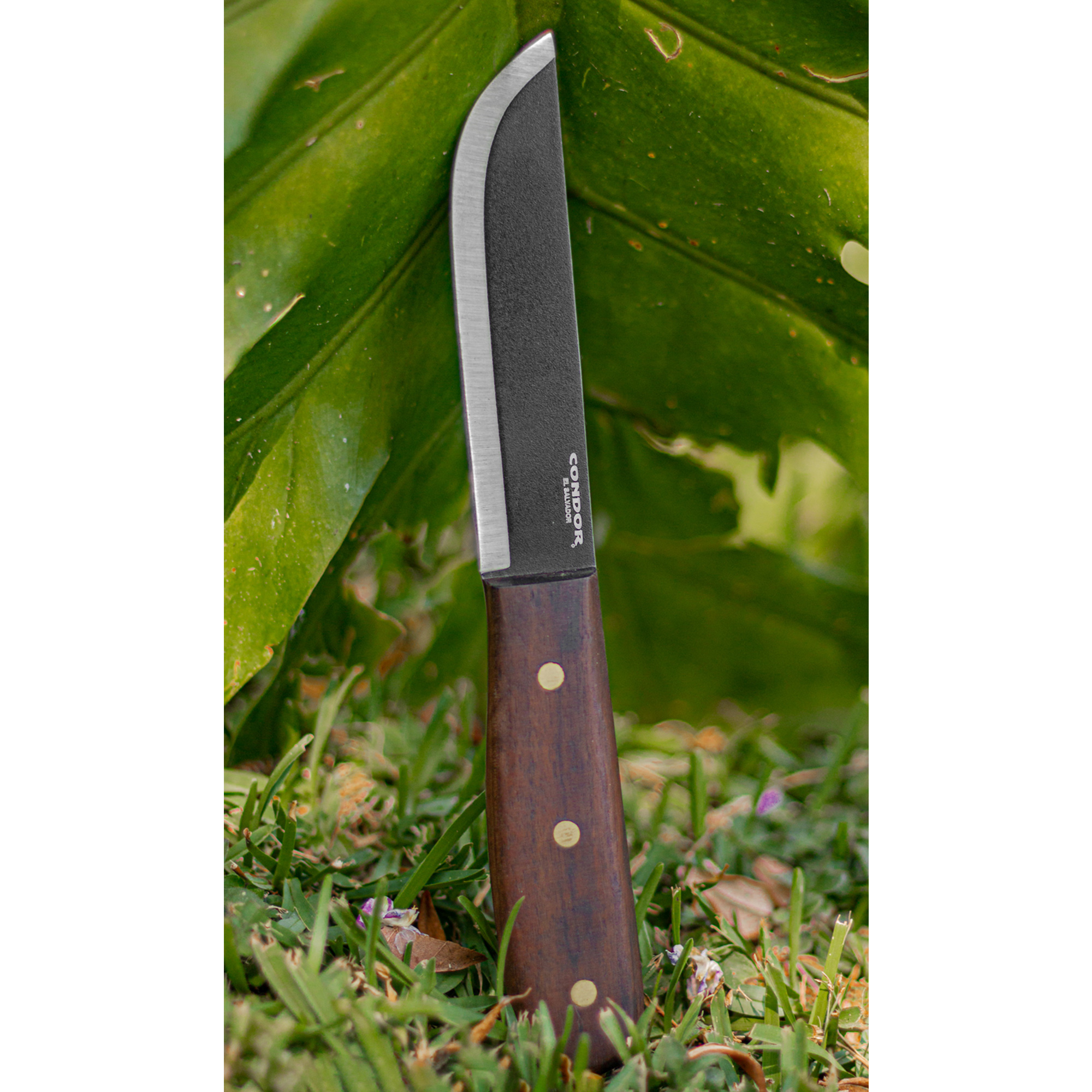 Bushcraft Basic