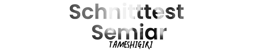 Schnittest Seminar